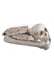 Confezione di 12 ossa in plastica, adatte per decorare Confezione di 12 ossa in plastica, adatte per decorare