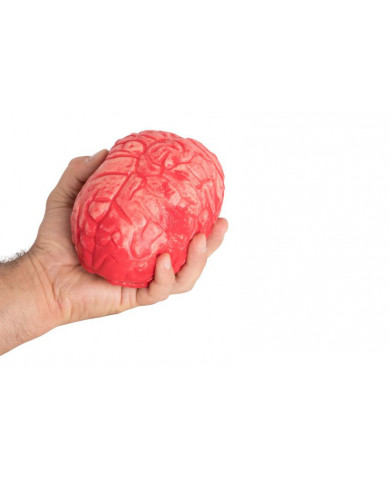 Bloody plastic brain with realistic dimensions. Ideal for