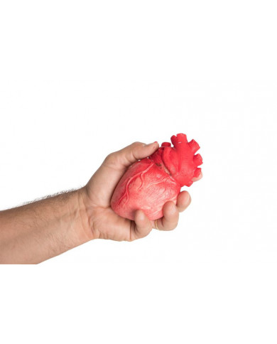Bloody plastic heart with realistic dimensions. Ideal for Bloody plastic heart with realistic dimensions. Ideal for