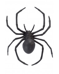 Spider in black plastic with a diameter of cm.15. With this