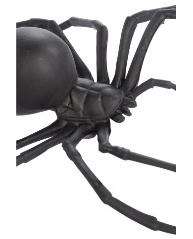 Spider in black plastic with a diameter of cm.15. With this