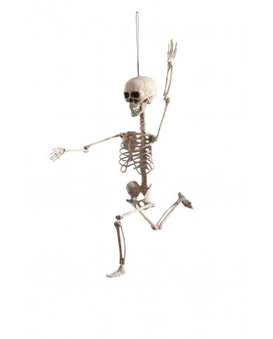 White plastic adjustable skeleton high cm.70. Hanging