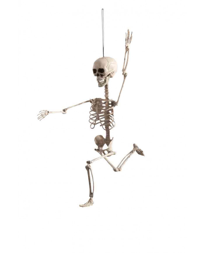 White plastic adjustable skeleton high cm.70. Hanging