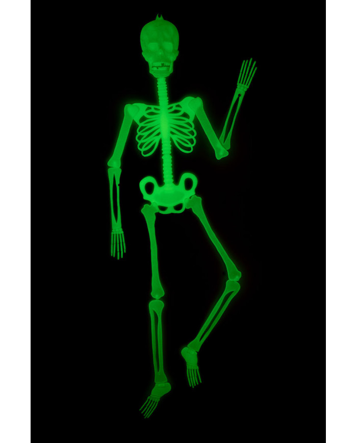 Hanging flat jointed plastic skeleton with a height of cm.150 Hanging flat jointed plastic skeleton with a height of cm.150