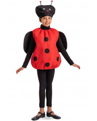 Ladybug felt costume with hat to which eyes, nose and antennae