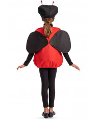 Ladybug felt costume with hat to which eyes, nose and antennae