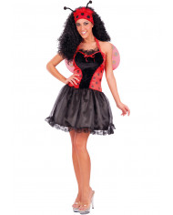 Ladybug costume with satin and veil dress, wings and headband Ladybug costume with satin and veil dress, wings and headband
