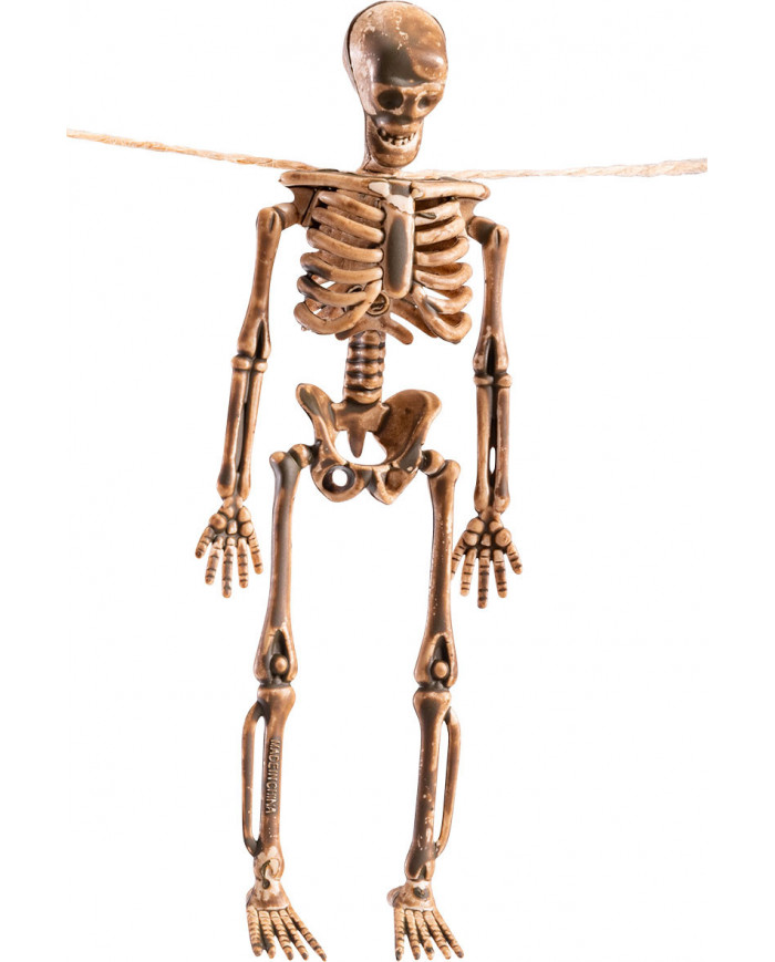 Garland with plastic skeletons, length cm.105x10. Ideal hanging Garland with plastic skeletons, length cm.105x10. Ideal hanging