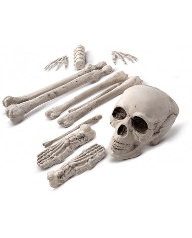 12 bones, to decorate the small horror angles and Halloween