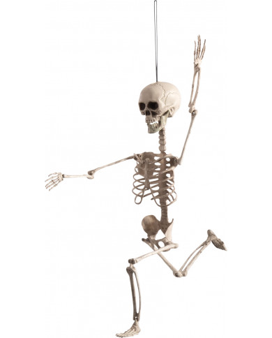 White plastic adjustable skeleton high cm.70. Hanging