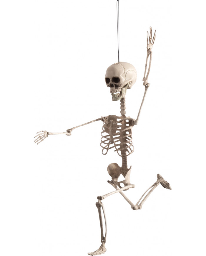 White plastic adjustable skeleton high cm.70. Hanging