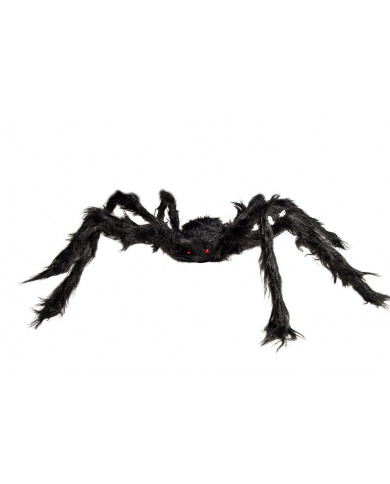 Black hairy spider, approx. 75cm in diameter. It has two small