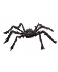 Black hairy spider, approx. 75cm in diameter. It has two small