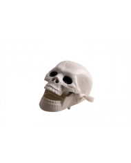 12 plastic wind-up horror skulls on a display stand, with each