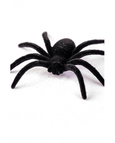 6 araignées noires en velours, diamètre 7 cm environ sur papier cartonné 6 araignées noires en velours, diamètre 7 cm environ sur papier cartonné