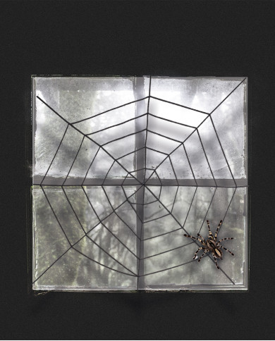 Schwarzes Spinnennetz aus Chenllie Durchm. cm. 150 ca. in Beutel mit Aufhänger Schwarzes Spinnennetz aus Chenllie Durchm. cm. 150 ca. in Beutel mit Aufhänger