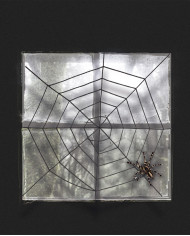 Schwarzes Spinnennetz aus Chenllie Durchm. cm. 150 ca. in Beutel mit Aufhänger Schwarzes Spinnennetz aus Chenllie Durchm. cm. 150 ca. in Beutel mit Aufhänger