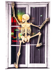Vorhang mit kletterndem Skelett bedruckt H. cm 120x80 ca. in Beutel mit Aufhänger