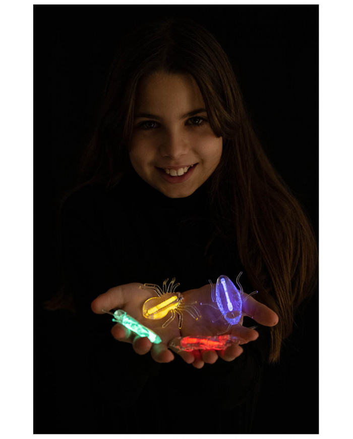 4 animaux décoratifs lumineux G.I.D. (GLOW IN THE DARK), couleurs assorties dans une pochette