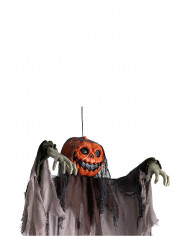 Scheletro zucca d'app. con tunica grigia h. 160 ca. con cartellino/etichetta