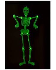 Squelette plat articulé G.I.D. (GLOW IN THE DARK), hauteur 90 cm environ à suspendre dans une pochette avec carte d’en-tête