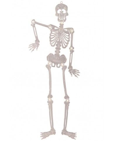 Squelette plat articulé G.I.D. (GLOW IN THE DARK), hauteur 90 cm environ à suspendre dans une pochette avec carte d’en-tête
