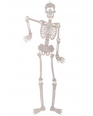 Squelette plat articulé G.I.D. (GLOW IN THE DARK), hauteur 90 cm environ à suspendre dans une pochette avec carte d’en-tête