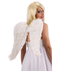 Ailes blanches en plumes, h. 50x45 cm env., dans un sachet avec étiquette ferme-sachet Ailes blanches en plumes, h. 50x45 cm env., dans un sachet avec étiquette ferme-sachet